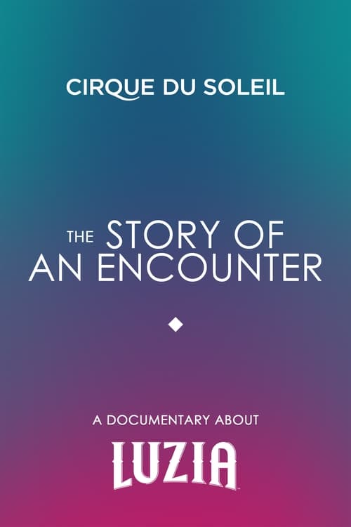 The Story Of An Encounter (2016)