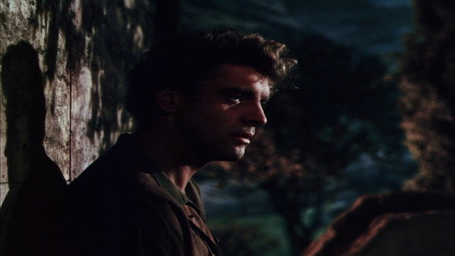 The Flame and the Arrow — still 13