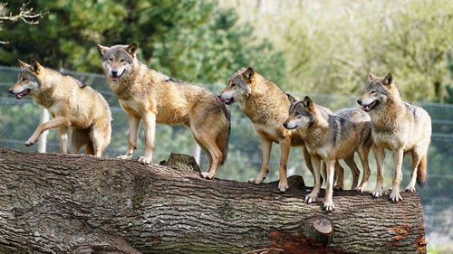 Image de l'épisode 10