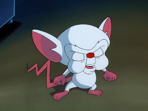 Poster della serie Pinky and the Brain