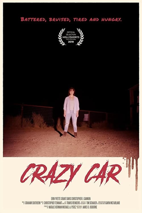 Crazy Car (2019) poster