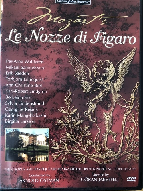 Le Nozze di Figaro (1981) poster