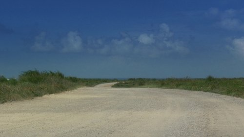 Backdrops
