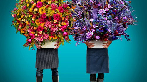 Full Bloom Backdrop Blur