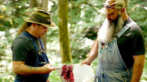 Poster della serie Moonshiners