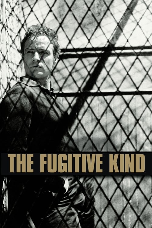 Largescale poster for The Fugitive Kind