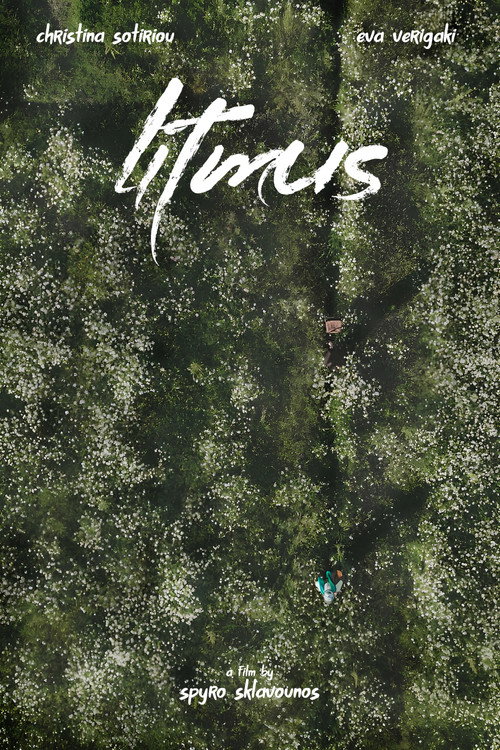 Affiche de Litmus