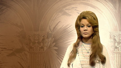 الوسادة الخالية - Season 1 Backdrop Blur