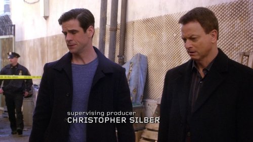 Poster della serie CSI: NY