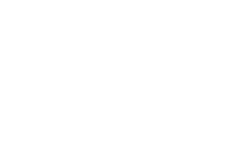L'Incroyable Cirque Numérique