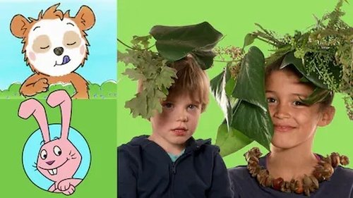 Image de l'épisode 310