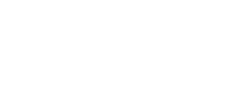 Damen i svart