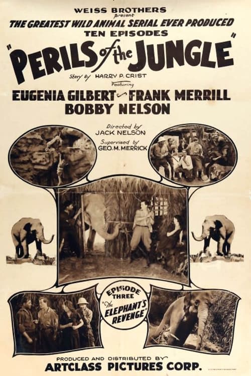 Poster Perils of the Jungle 1927