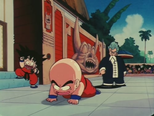 Dragon Ball: 1×24