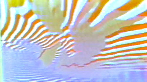 Feedback Stroboscopy — Fondos 1