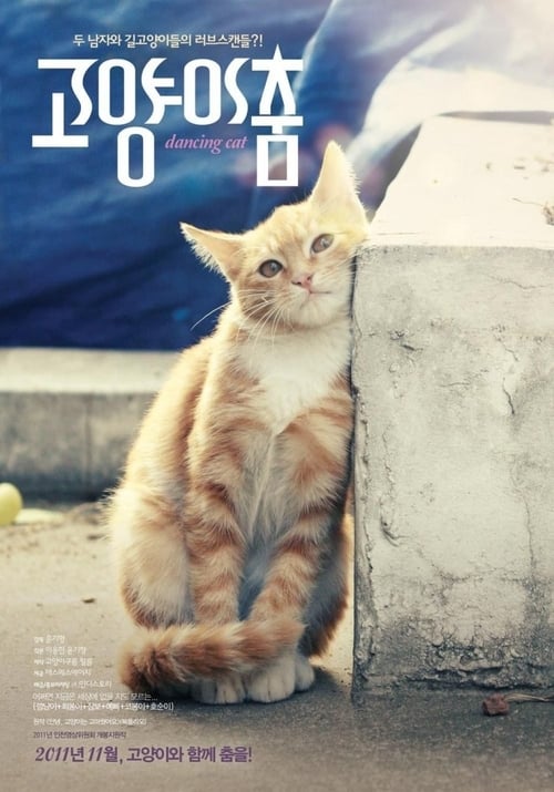 Poster 고양이 춤 2011