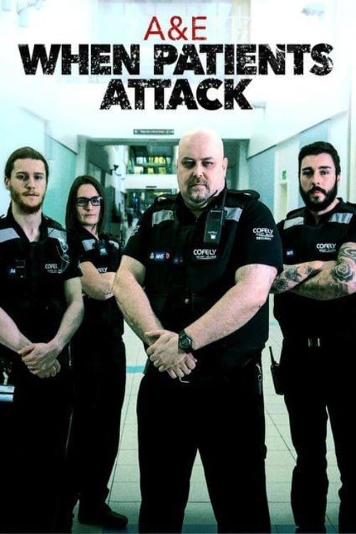 A & E: When Patients Attack (2015) poster