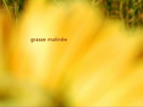 Image Grasse matinée