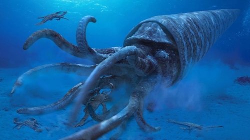 Sea Monsters