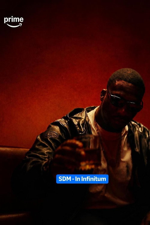 SDM – In Infinitum - BELGESEL Afişi
