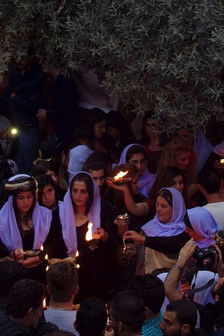 Following the Peacock film afişi