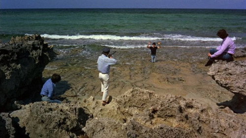 Image 31
