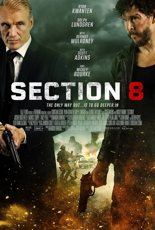 Section 8 (HDRip)