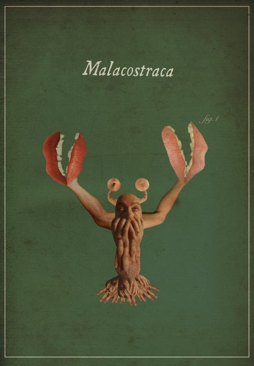 Malacostraca Movie Poster Image