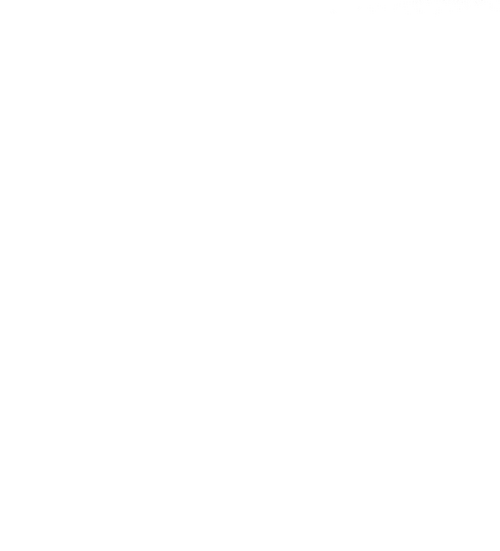 The Elizabeth Smart Story