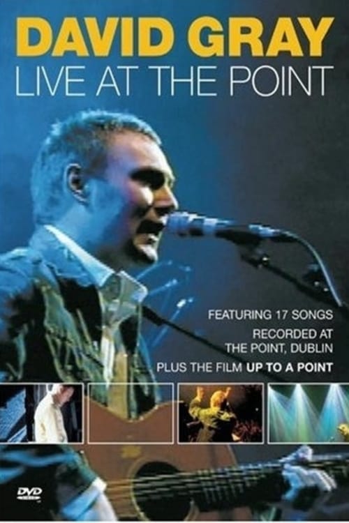 David Gray: Live at the Point 2001