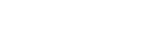 Revolutionary Love