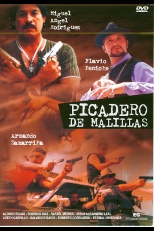 Picadero de malillas (2003) poster