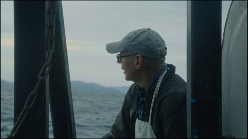 Caught in the net — Backdrops 11