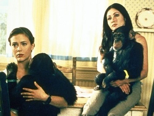 Image Bones 8x06
