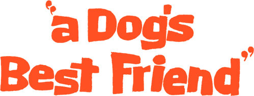 A Dog's Best Friend