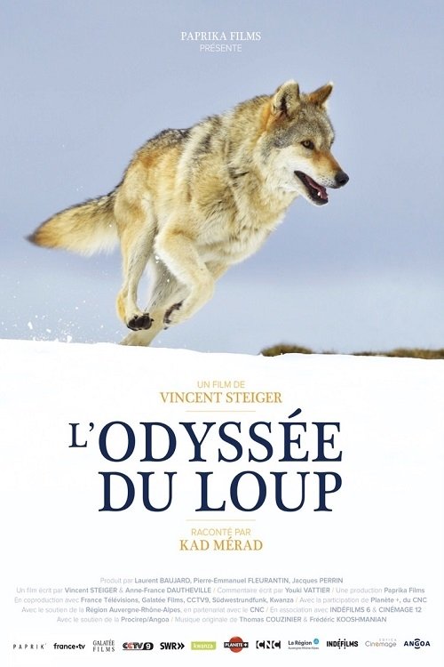 L'odysée du loup movie poster player