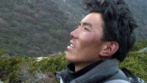 The Horseman of Mount Everest