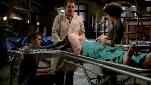 Fringe: 1×16