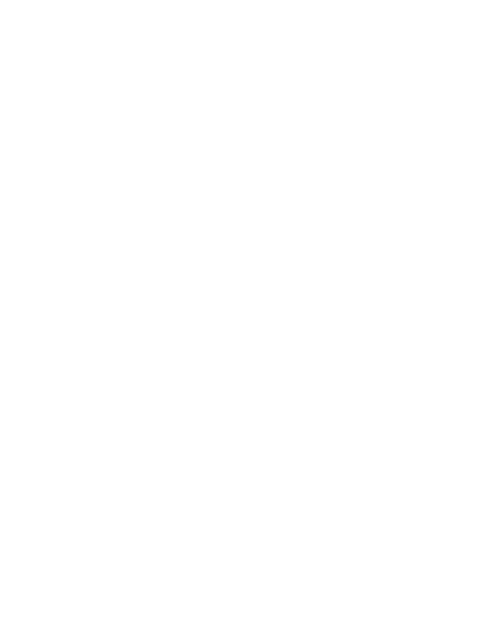 A Brighter Summer Day