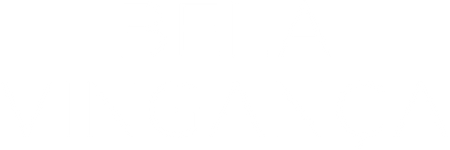 Bela Vingança - Logo 6