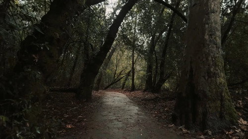Episode 15