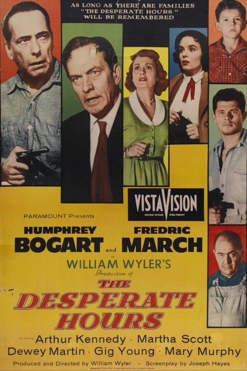 Poster 13