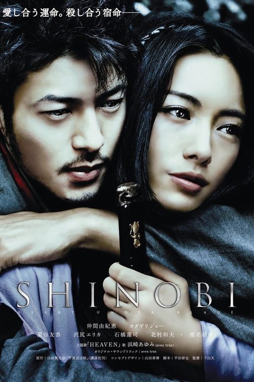 Shinobi (2005) poster