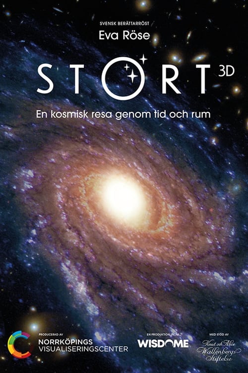 Poster Stort 2021