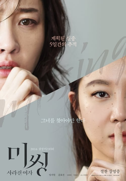 미씽: 사라진 여자 (2016) poster