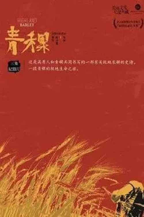 青稞 (2021) poster