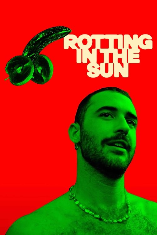 Rotting in the Sun poster