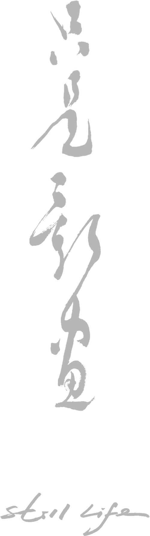 只是影畫