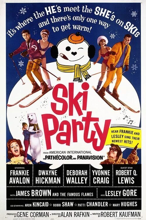Ski Party poster