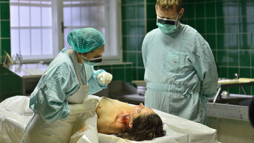 Image de l'épisode 1